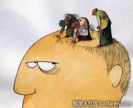 【圖】每天脱髮量約100根?正常啦