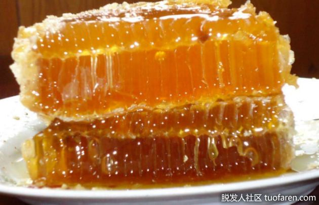 【圖】研究：蜂膠有助促進毛髮生長