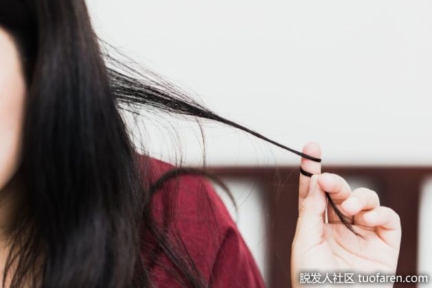 【圖】什麼是拔毛症？