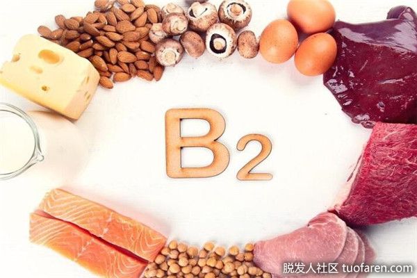 【圖】維生素B2是什麼？