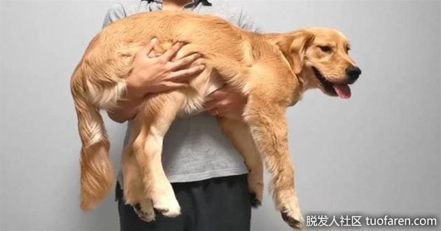 【圖】孩子和寵物膩在一起 當心患頭癬！