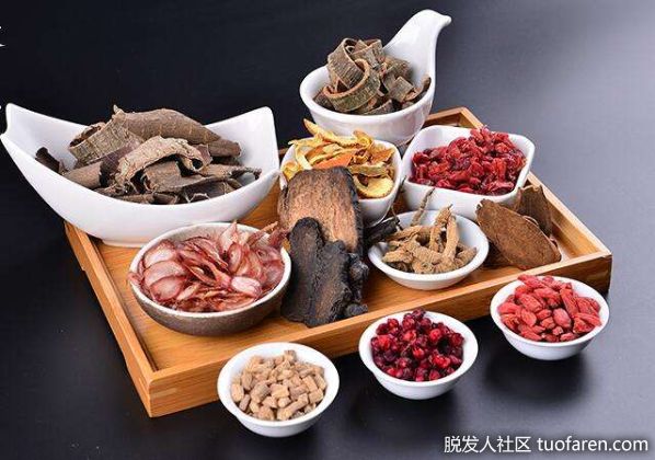 【圖】補腎虛、改善氣血 頭髮更牢固