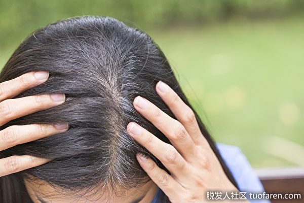 【圖】長白髮可能是身體警訊 10種原因一定要當心