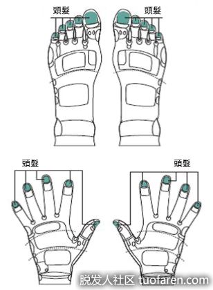 【圖】掉髮顯老？2處穴位按壓隨時保養