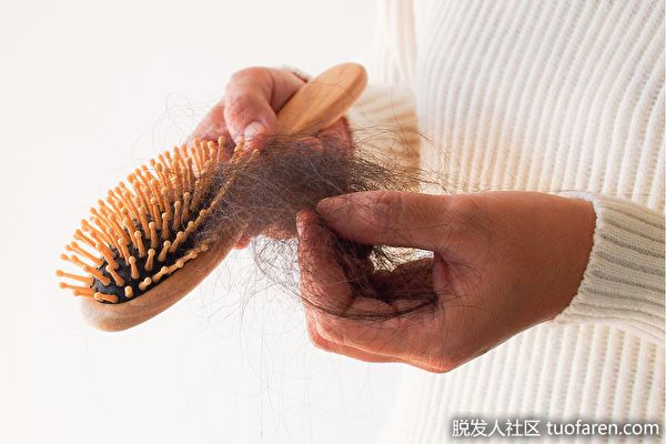 【圖】掉髮可能是血管出問題？飲食5招提升血管力