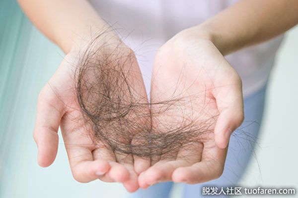 【圖】為什麼產後狂掉髮？告訴你增髮量的關鍵方法