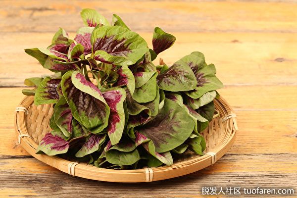 【圖】暈眩易疲勞是缺鐵？營養師教你3招高效補鐵