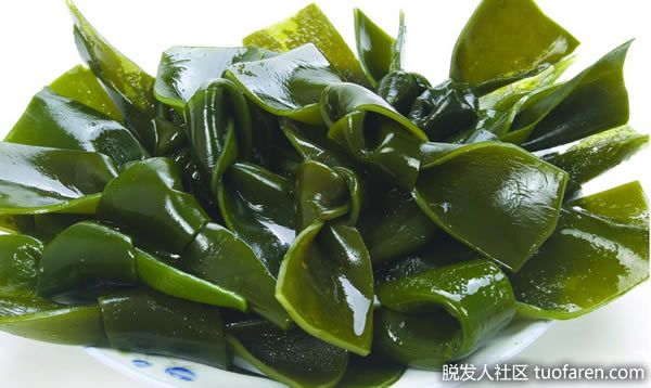 【圖】海帶含頭髮所需營養素 可增加13%的髮量 