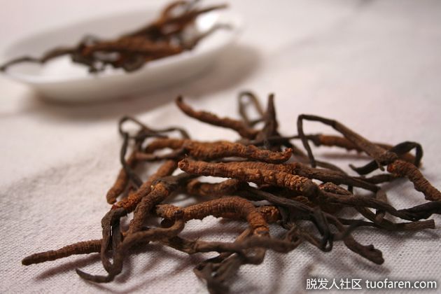 【圖】吃錯補藥 脱髮更多