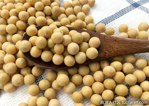 【圖】《日本小鼠研究》吃大豆防白髮 醫師：證據力不足