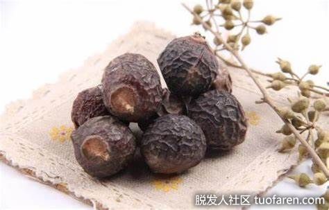 【圖】無患子對皮膚的功效 無患子使用方法