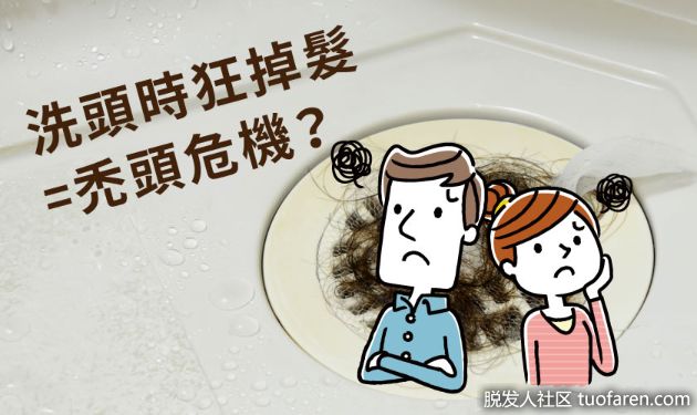 【圖】洗頭時狂掉髮?掉髮超過這數量就有脱髮危機!