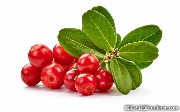 【圖】越橘對皮膚的好處有哪些