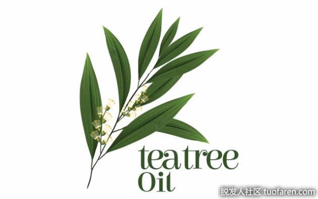 【圖】茶樹油對皮膚的10大好處和用途