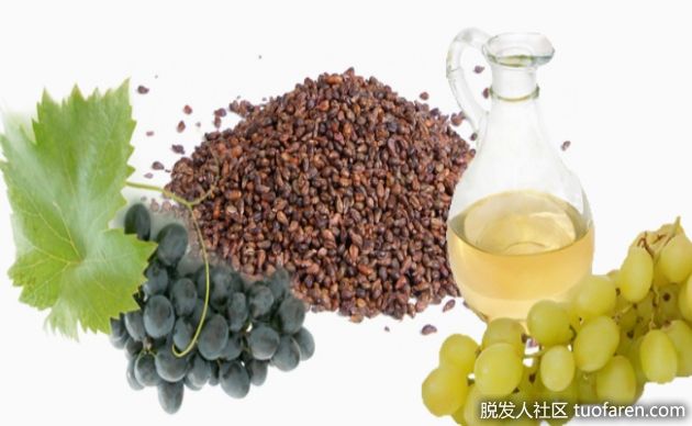 【圖】葡萄籽油 好處 如何使用 適合人羣