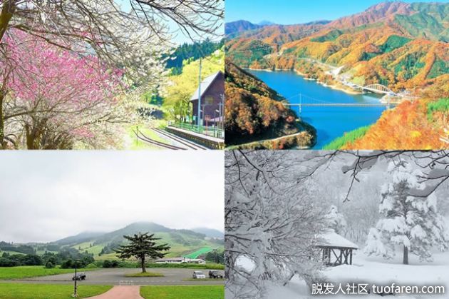 【圖】預防季節性脱髮!一年四季的防脱髮方法大解密