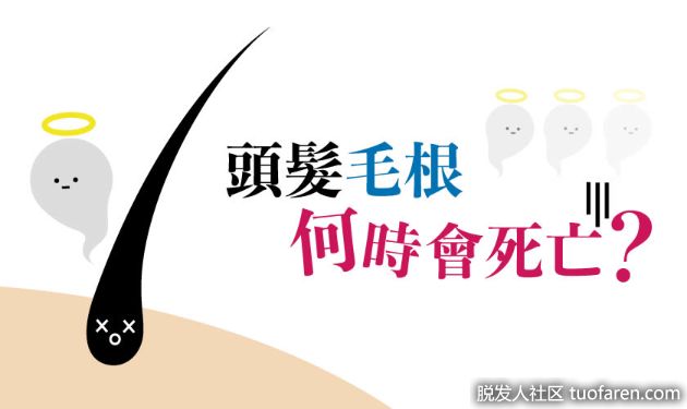 【圖】什麼情況下頭髮毛根會死亡?毛根可以活多久? 【預防禿頭小知識】