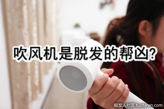 【圖】吹風機是脱髮的幫兇? !吹頭髮時多少掉髮量屬異常?