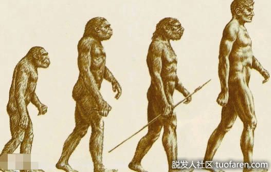 【圖】人類毛髮的功能是什麼？