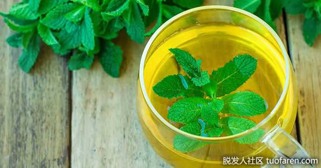 【圖】降低睾丸激素的草藥