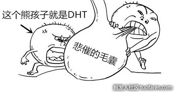 【圖】如何降低雙氫睾酮DHT的水平？