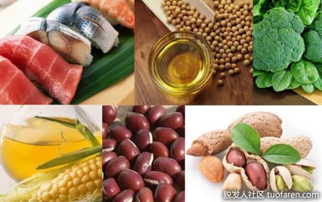 【圖】輔酶Q10的天然來源