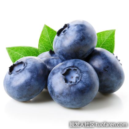 【圖】藍莓補充劑的好處