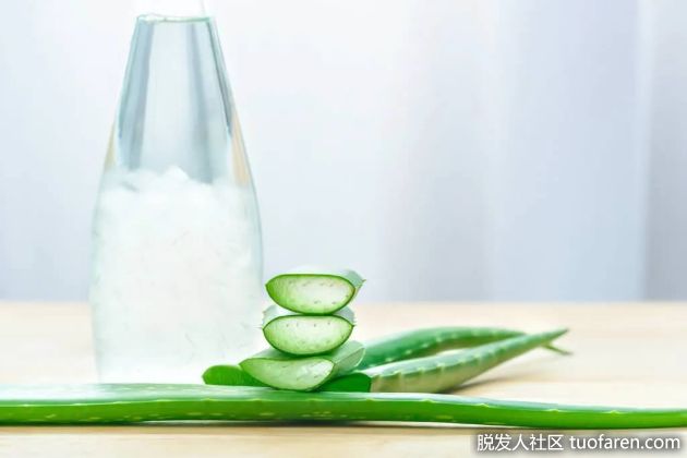 【圖】如何飲用蘆薈凝膠