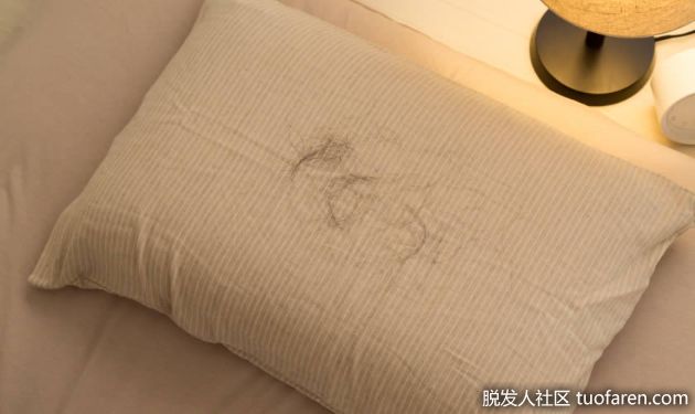 【圖】後枕部脱髮的原因 後枕部脱髮的改善對策