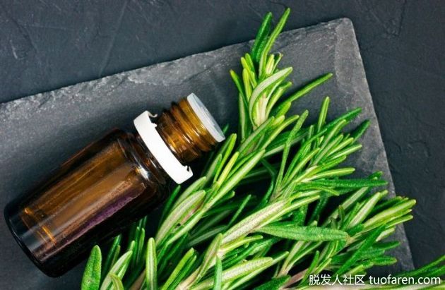 【圖】迷迭香精油對皮膚的6點好處