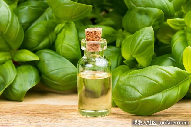 【圖】羅勒精油的好處