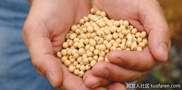 【圖】大豆卵磷脂的好處