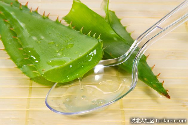 【圖】蘆薈凝膠的藥用功效