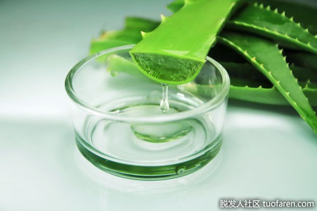 【圖】喝蘆薈汁的8個理由和食譜