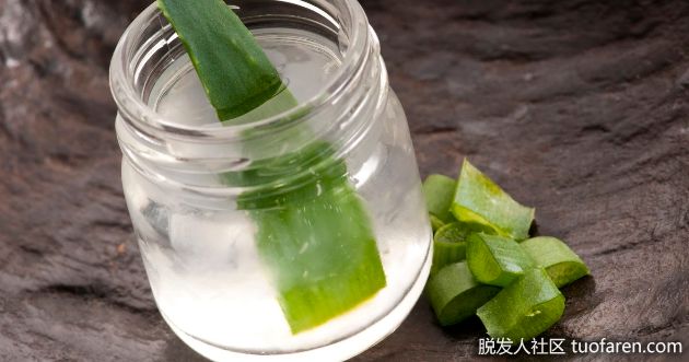 【圖】蘆薈的5大健康益處