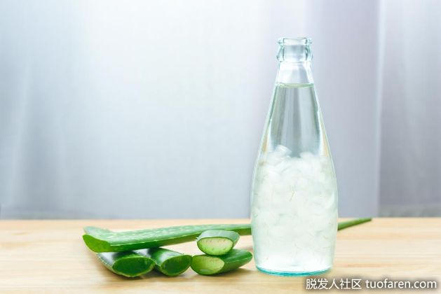 【圖】蘆薈的健康益處