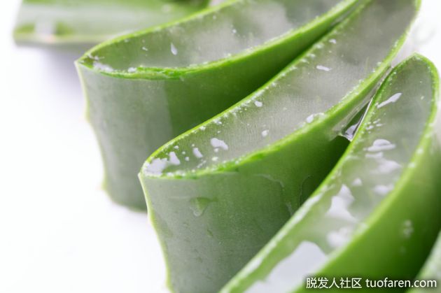 【圖】蘆薈對頭髮的神奇功效