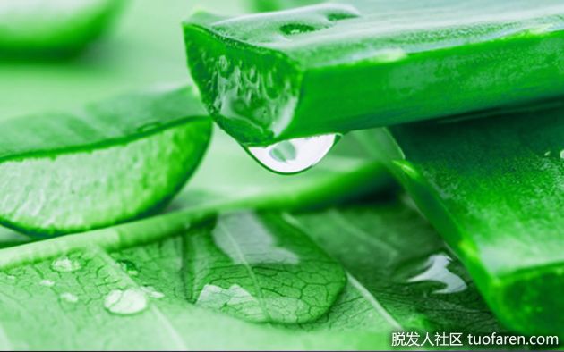 【圖】如何使用蘆薈促進健康