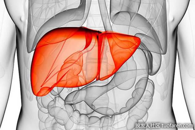 【圖】6種食物對肝臟解毒有效