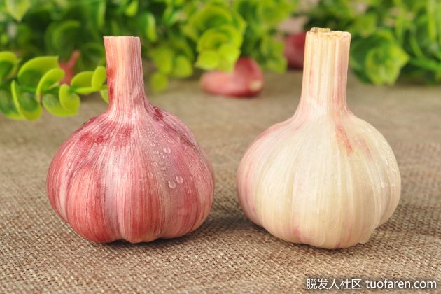 【圖】10大蒜的好處和副作用