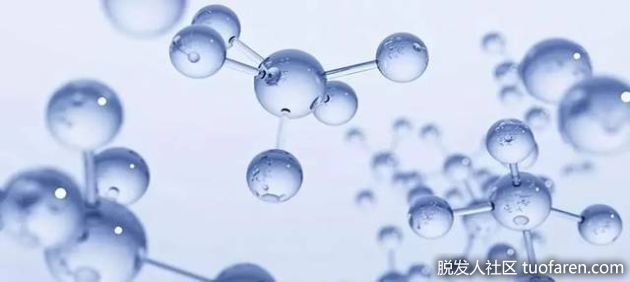 【圖】建立皮膚屏障的神經酰胺，有效防止脱髮？