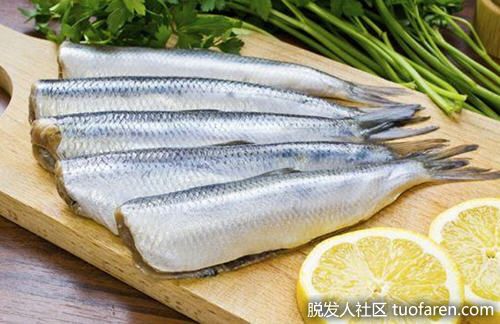 【圖】吃三文魚、鯖魚和鯡魚的好處？