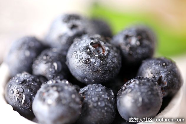 【圖】對眼睛有益的藍莓有助於控制脱髮