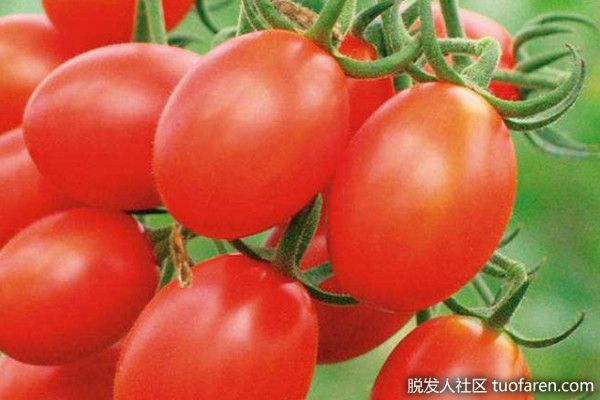 【圖】櫻桃番茄能預防脱髮嗎？