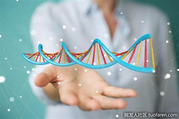 【圖】藥物脱髮治療的類型 - 睾酮抑制劑