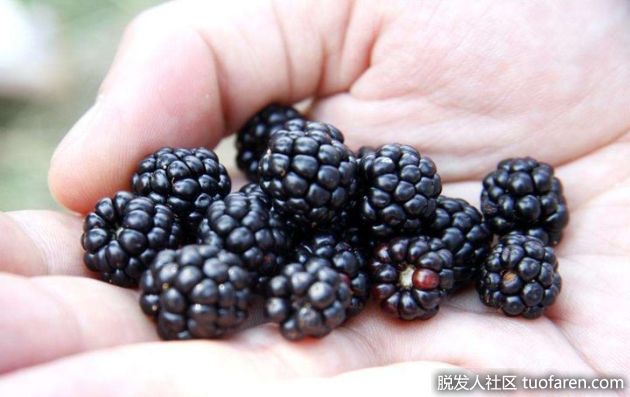 【圖】中年人應該常吃的4種食物