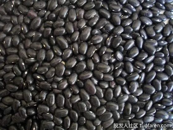 【圖】13種對頭髮生長有益的食物，防止脱髮的食物