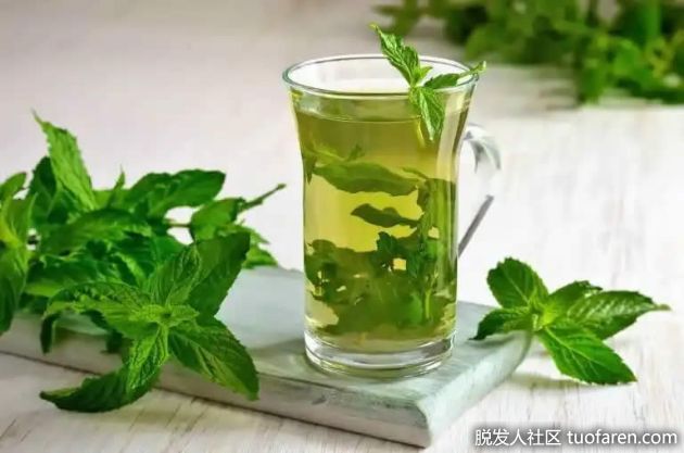 【圖】薄荷的健康益處