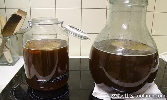 【圖】康普茶潛在的風險因素