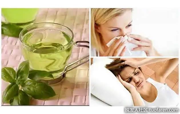 【圖】每天喝羅勒茶的8個好處